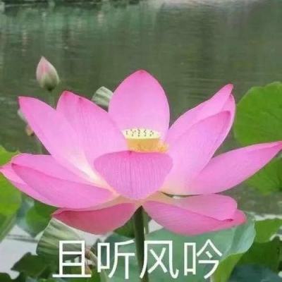 中共福建省委组织部关于陆菁等同志任前公示的公告